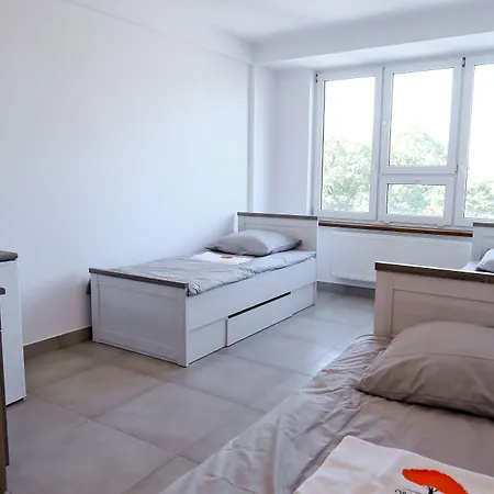 Orange Tree * Będzin