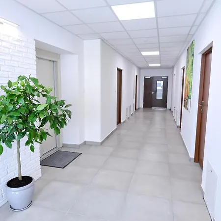 Hostel Orange Tree