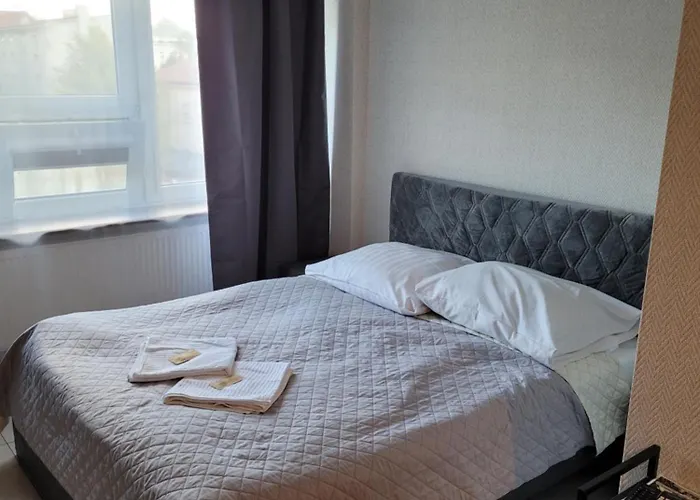 Orange Tree * Bedzin