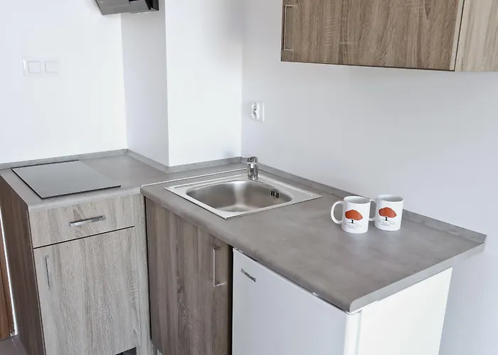 אכסניה Orange Tree