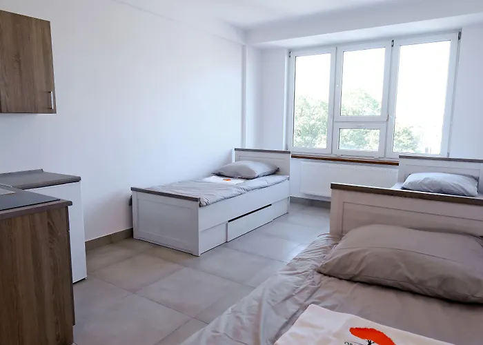 Orange Tree * Bedzin